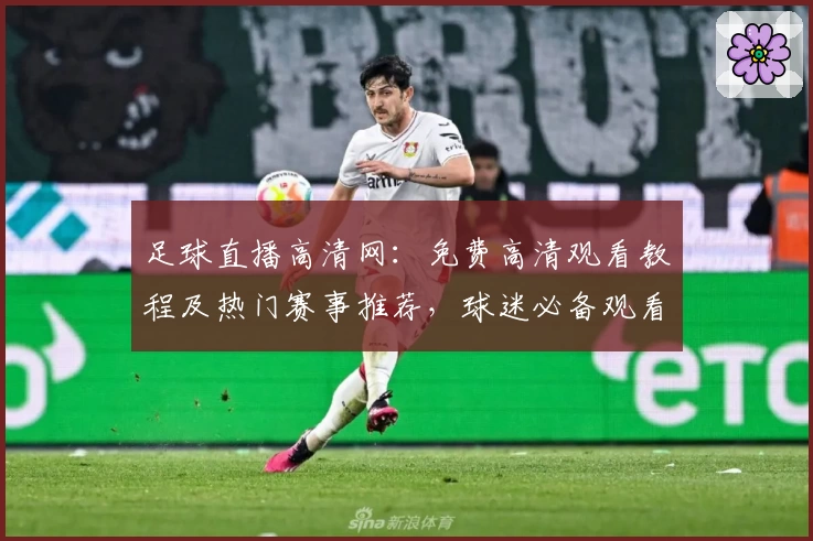 足球直播高清网:免费高清观看教程及热门赛事推荐,球迷必备观看指南